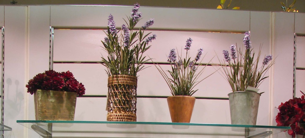 Other Material/Botanical greenerly