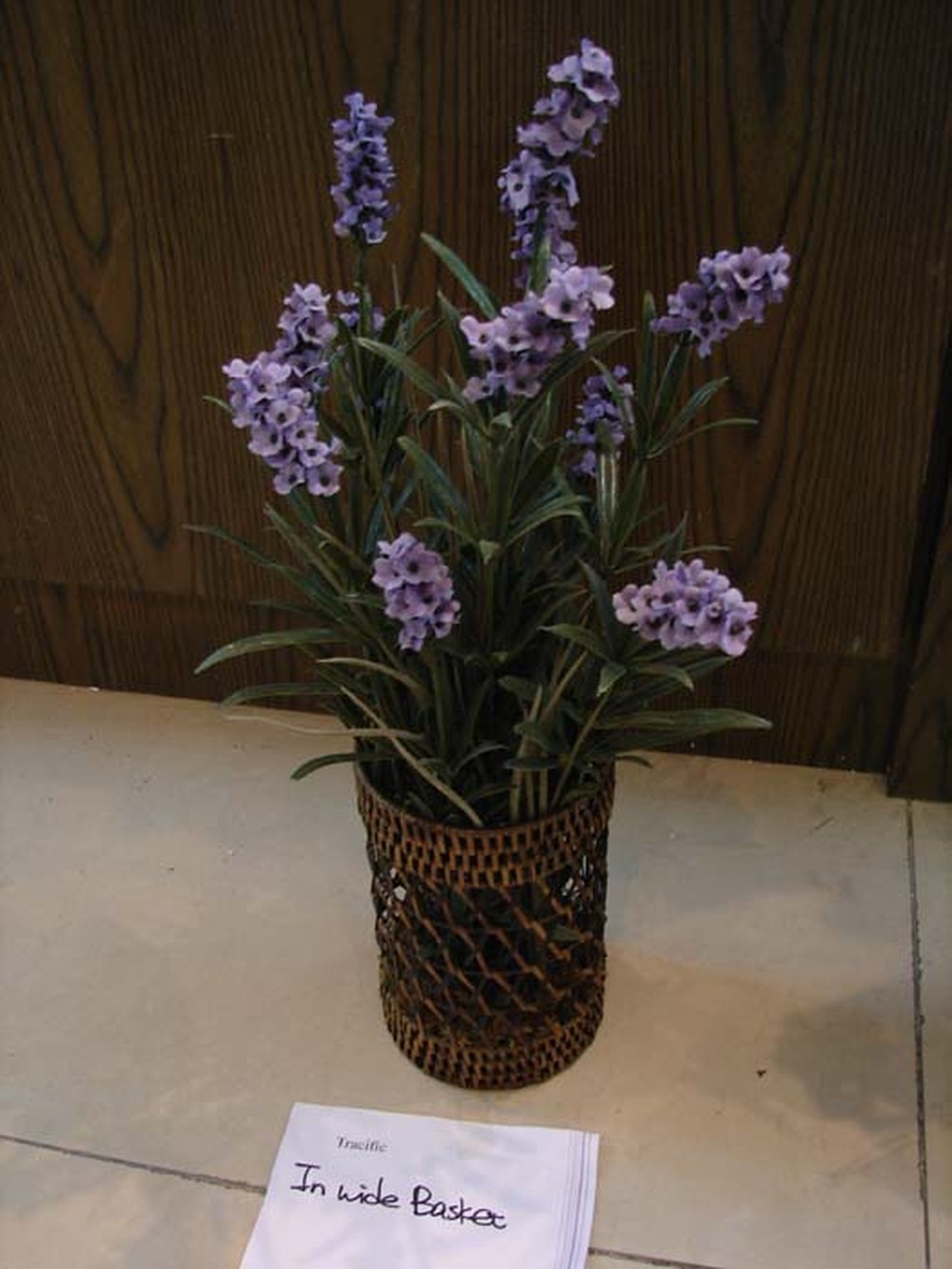 Other Material/Botanical greenerly