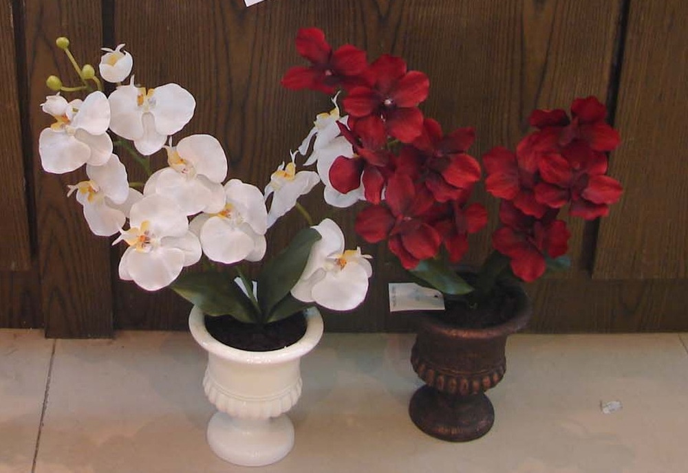 Other Material/Botanical greenerly