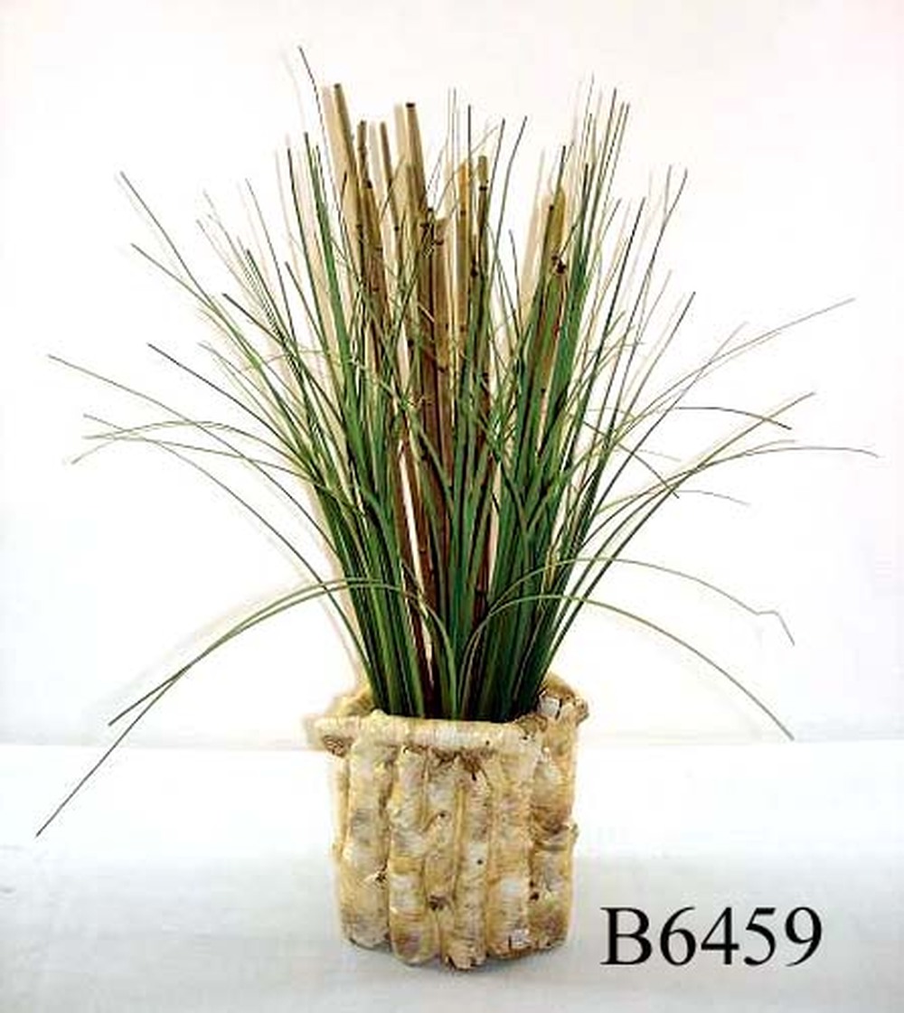 Other Material/Botanical greenerly