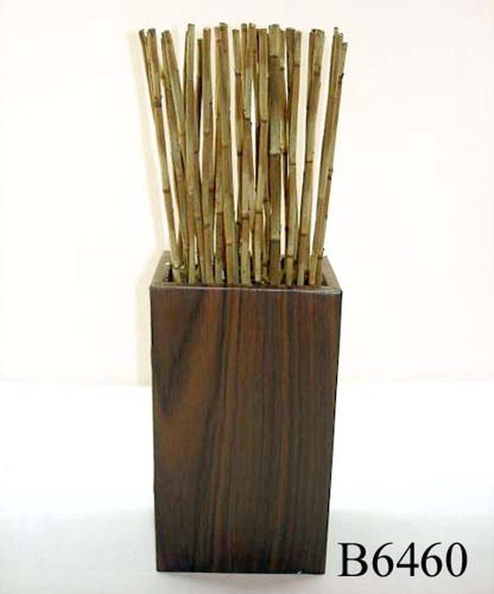 Other Material/Botanical greenerly
