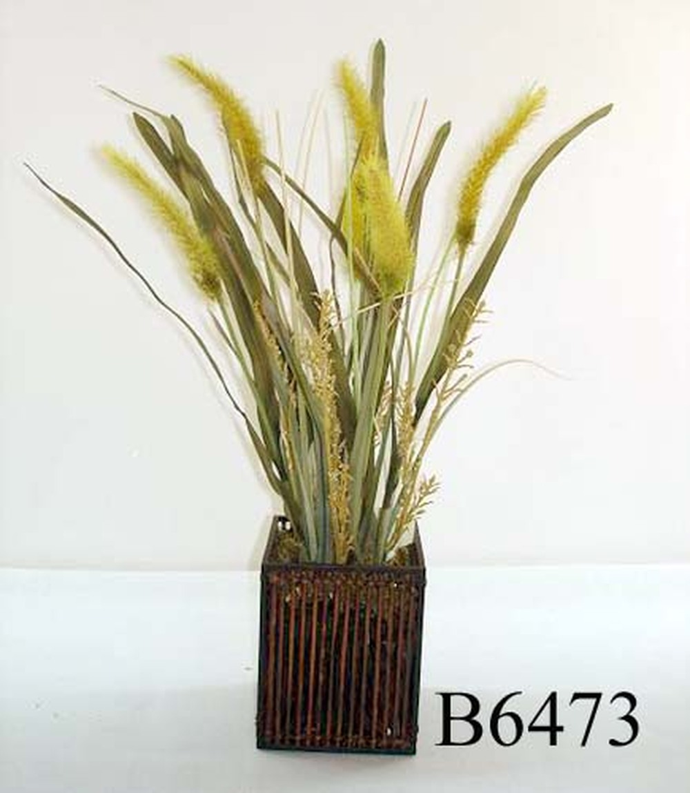 Other Material/Botanical greenerly