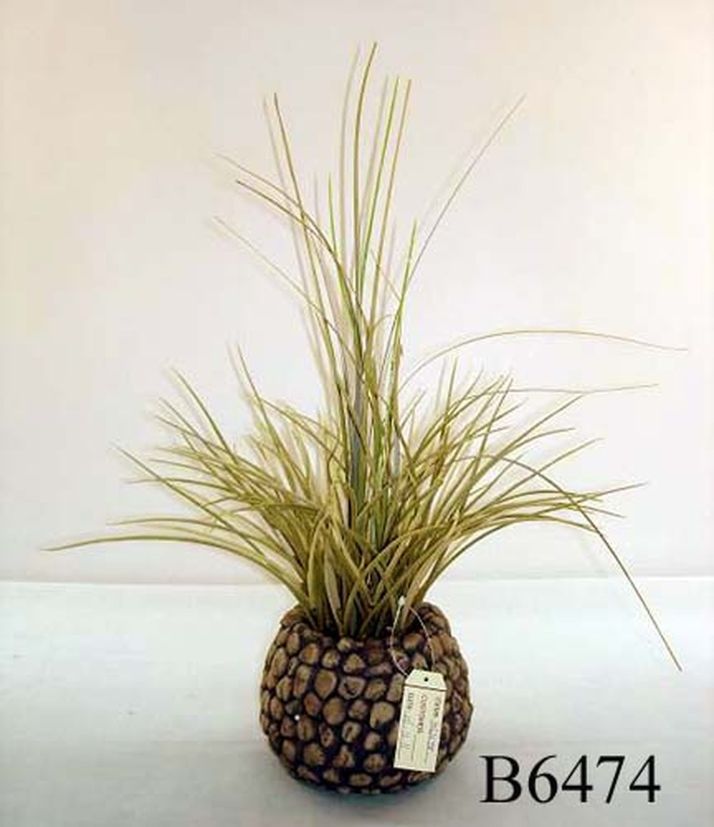 Other Material/Botanical greenerly