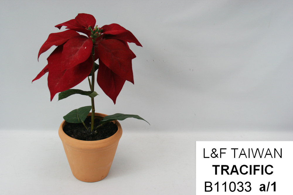 Other Material/Botanical greenerly 