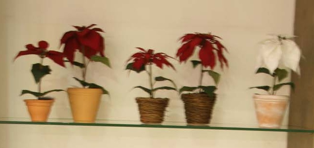 Other Material/Botanical greenerly 