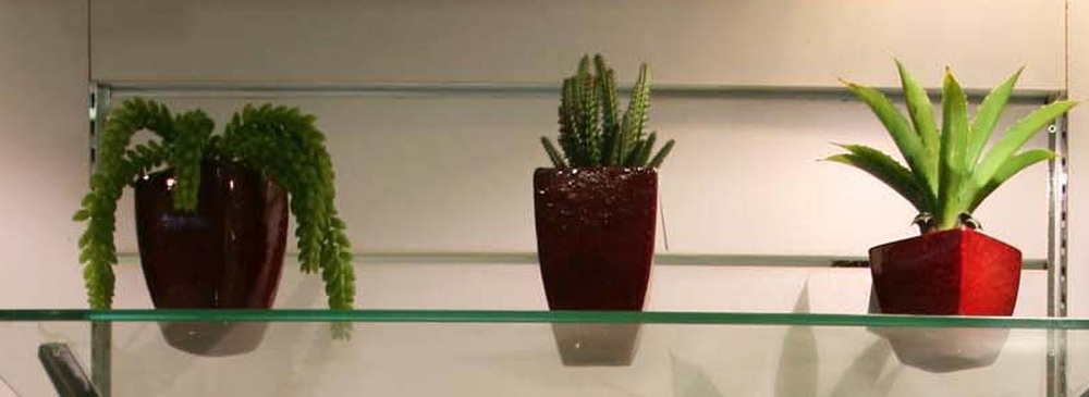 Other Material/Botanical greenerly 