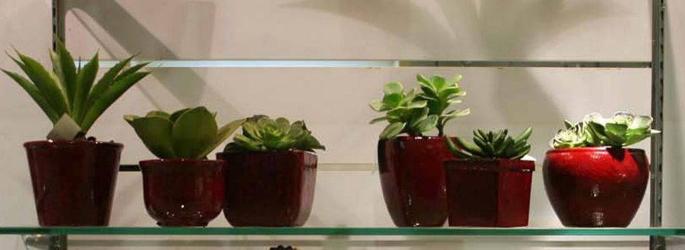 Other Material/Botanical greenerly 