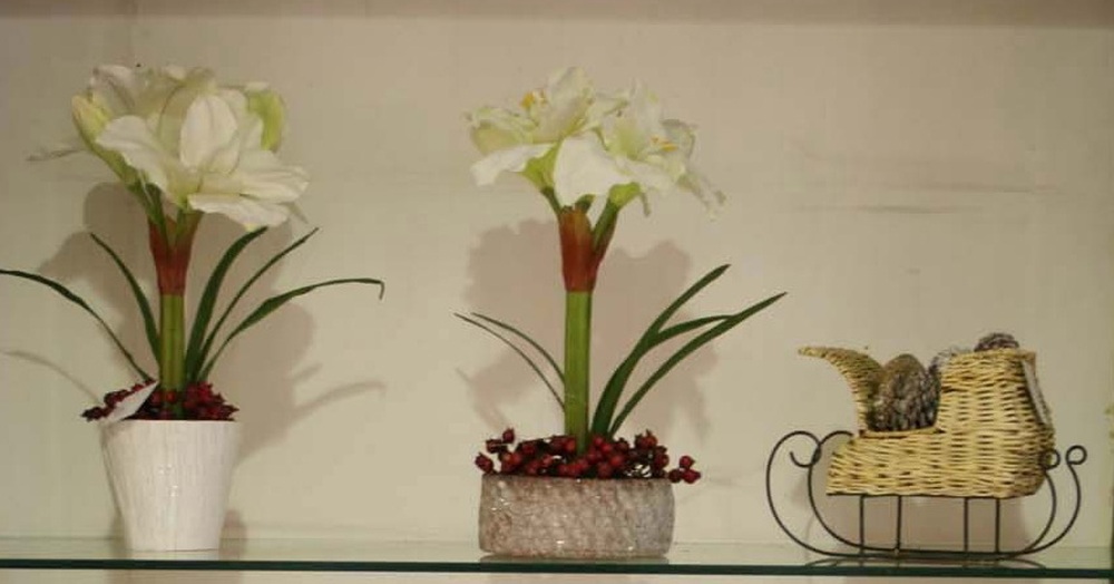 Other Material/Botanical greenerly 