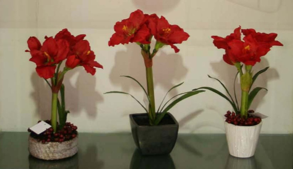 Other Material/Botanical greenerly 