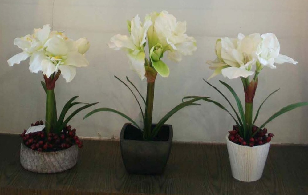 Other Material/Botanical greenerly 