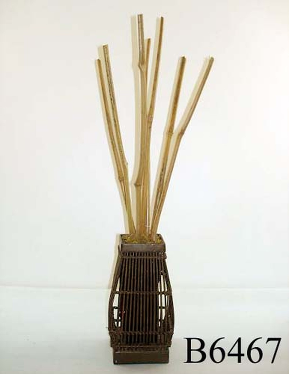 Other Material/Botanical stack