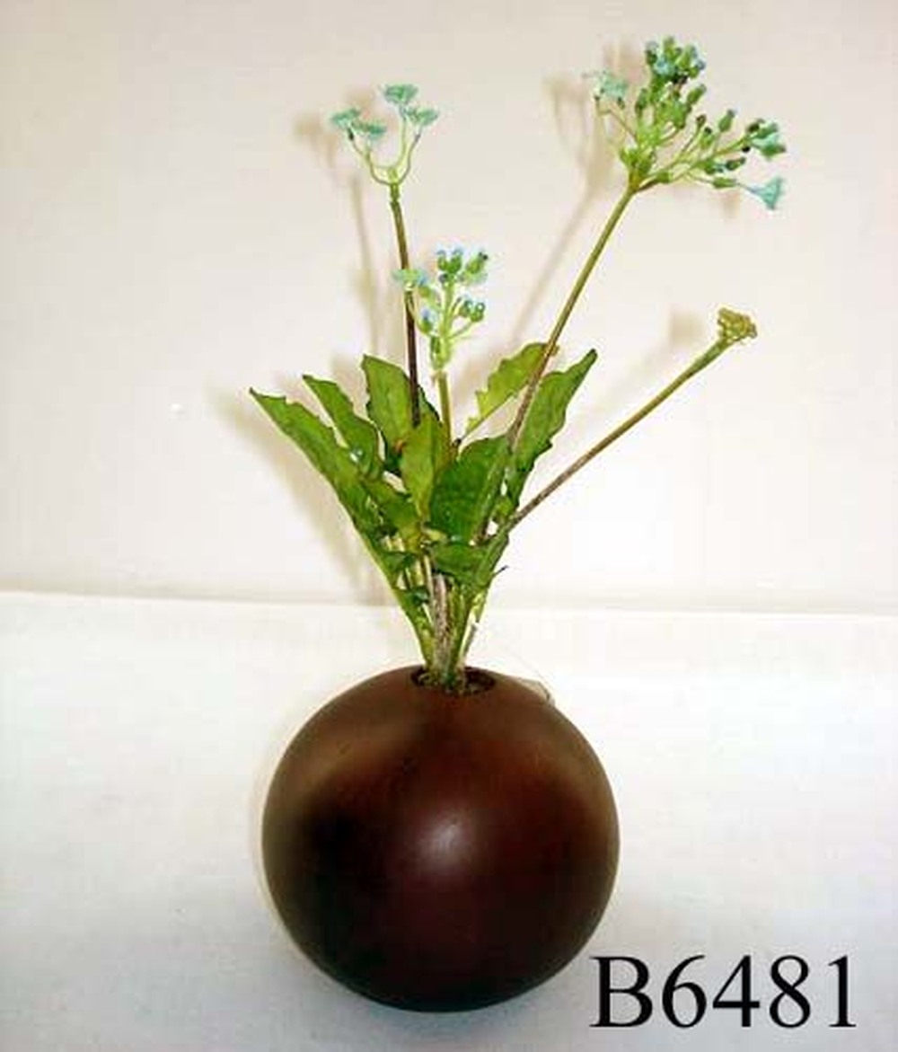 Other Material/Botanical stack