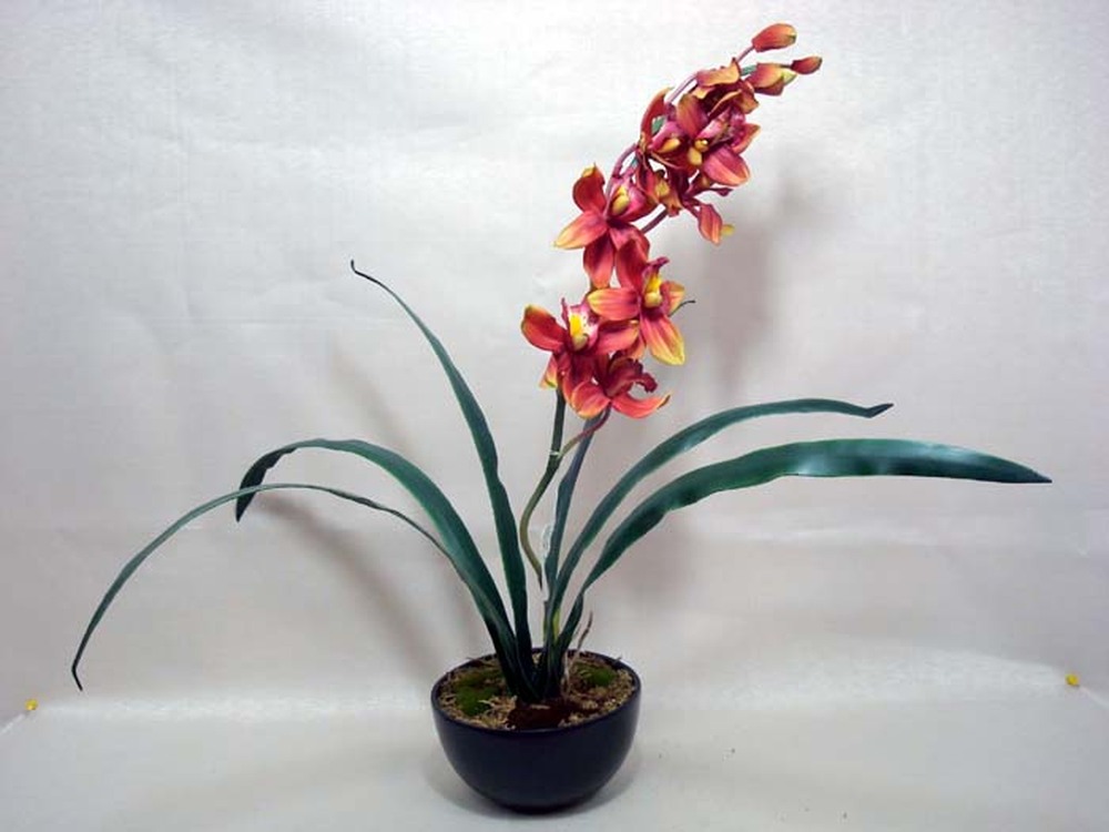 Other Material/Botanical table decor 