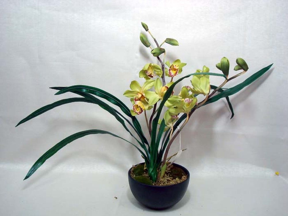 Other Material/Botanical table decor 