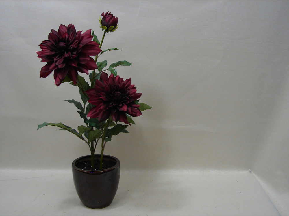 Other Material/Botanical table decor 