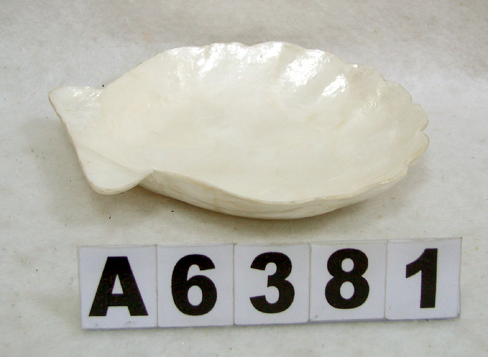 Other Material/Cander holder