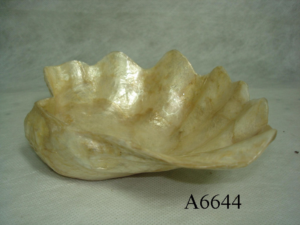 Other Material/Cander holder