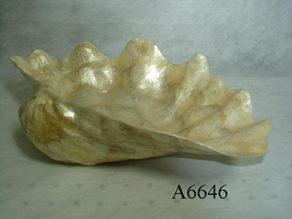 Other Material/Cander holder