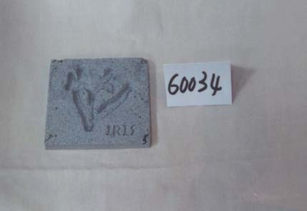 Other Material/Coaster