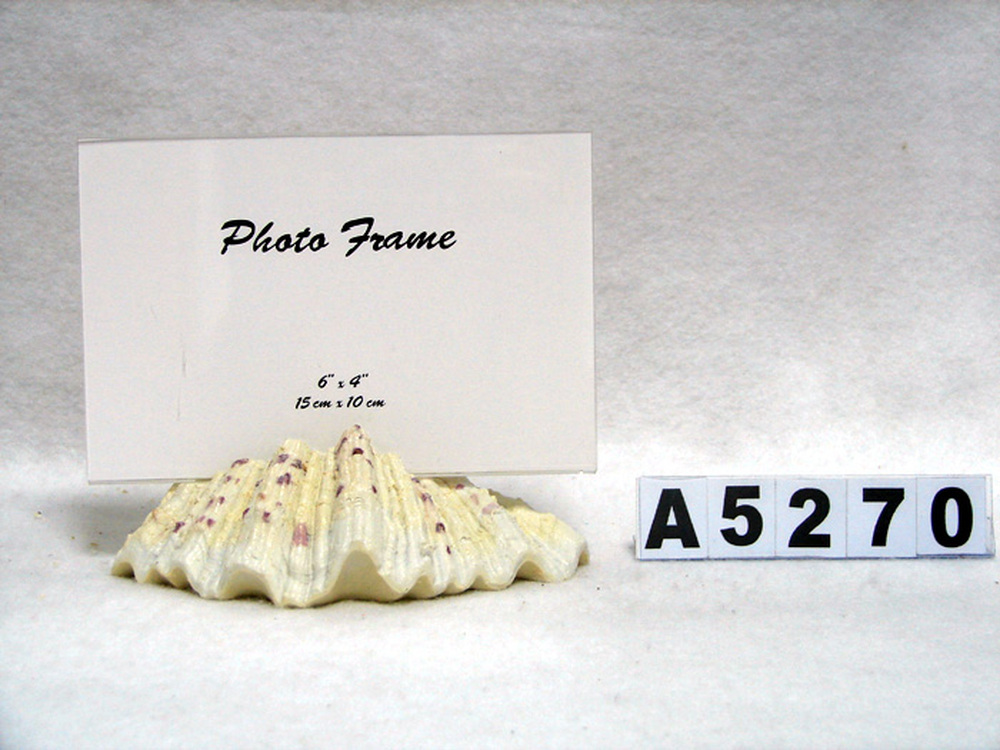 Other Material/Photo frame