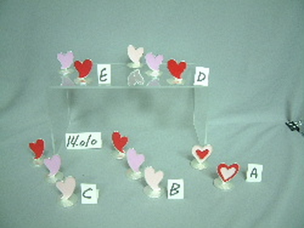Other Material/Table Decor 
