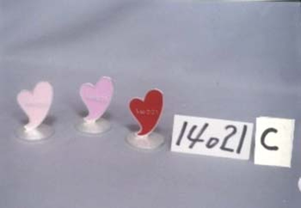 Other Material/Table Decor 