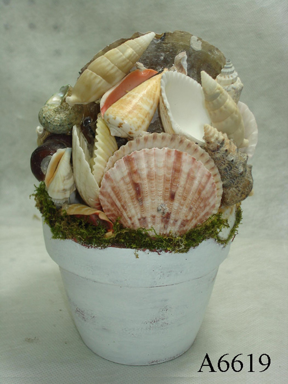 Other Material/Table Decor 
