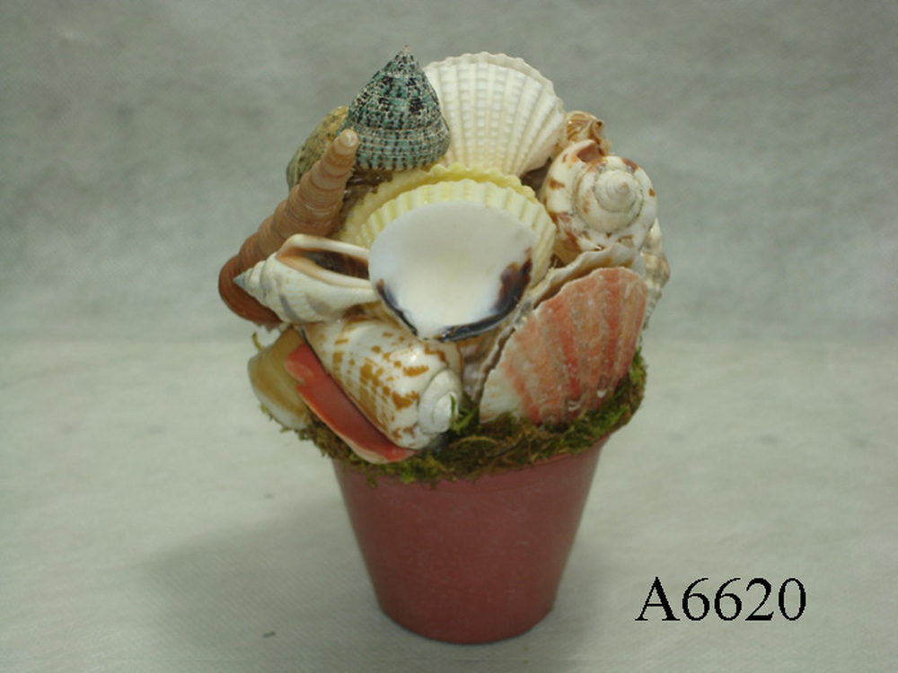 Other Material/Table Decor 