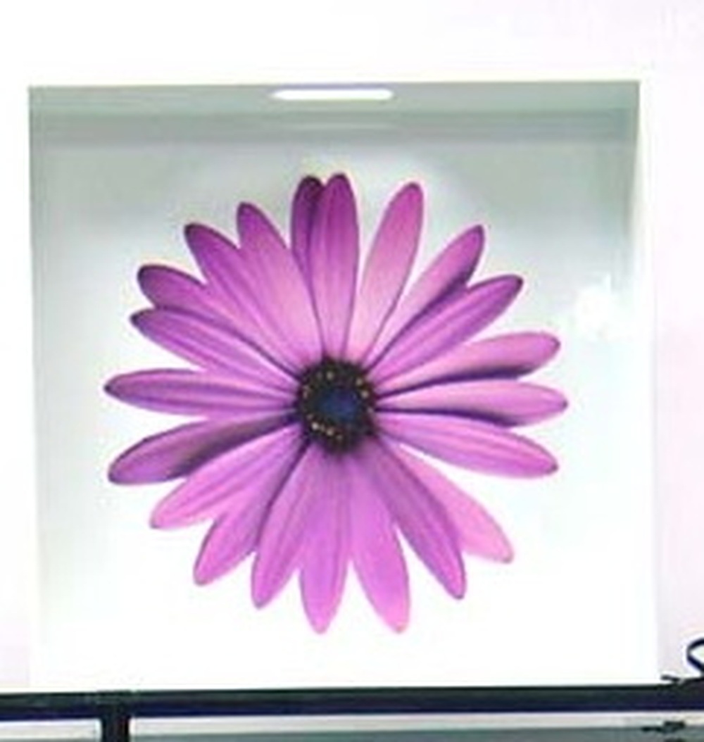 Other Material/Tray 
