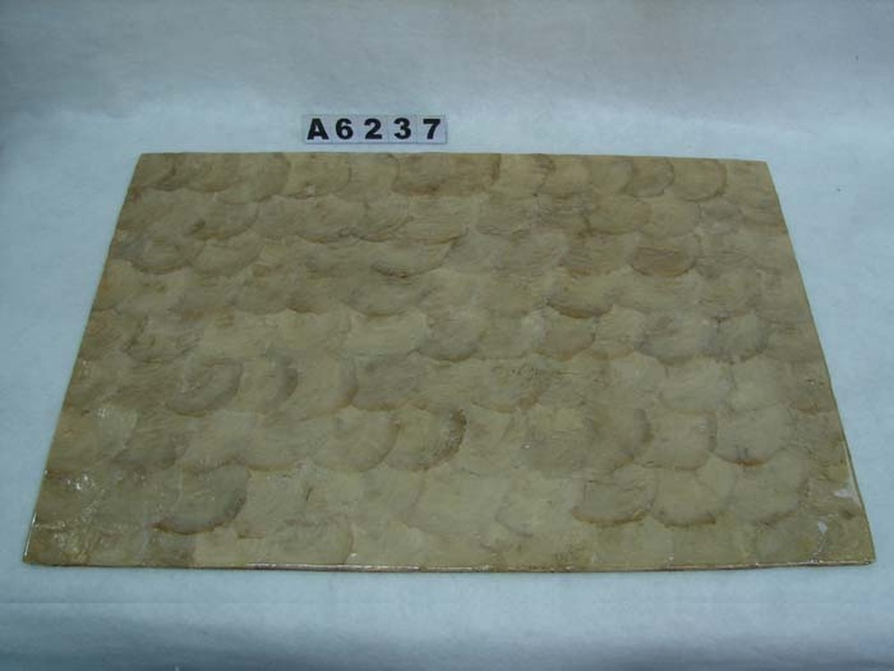 Other Material/Tray 