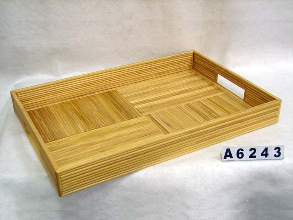 Other Material/Tray 