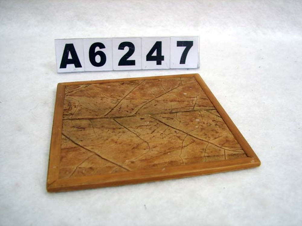 Other Material/Tray 
