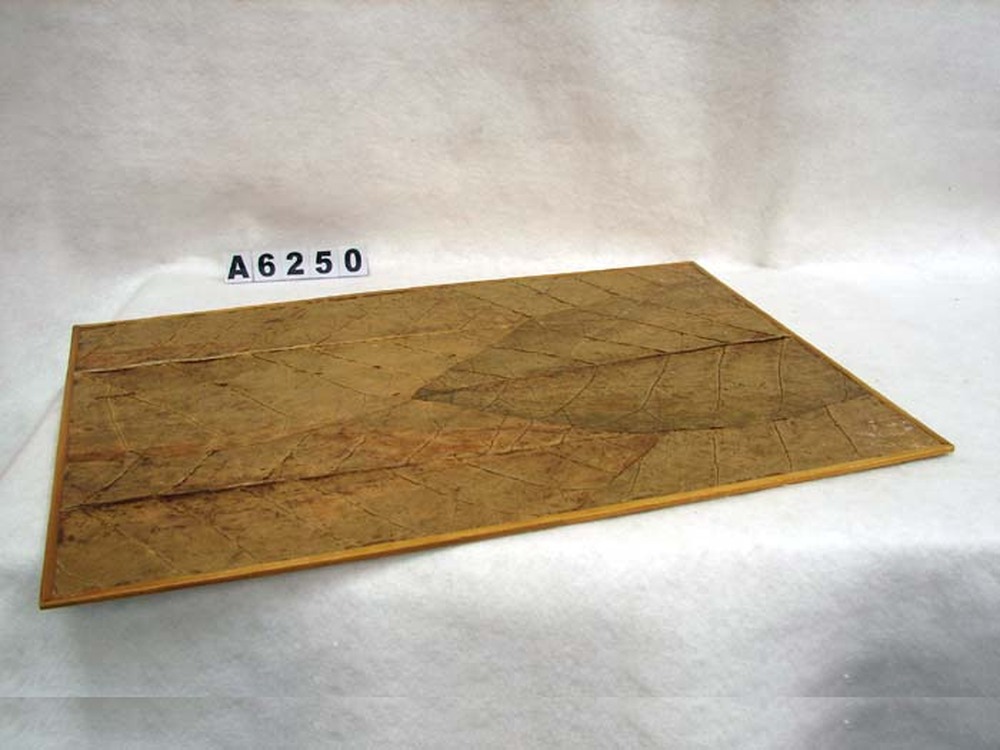 Other Material/Tray 