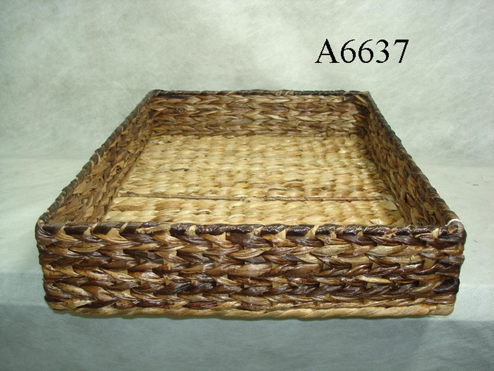 Other Material/Tray 