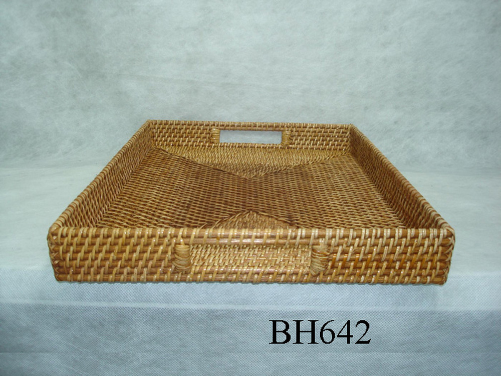 Other Material/Tray 