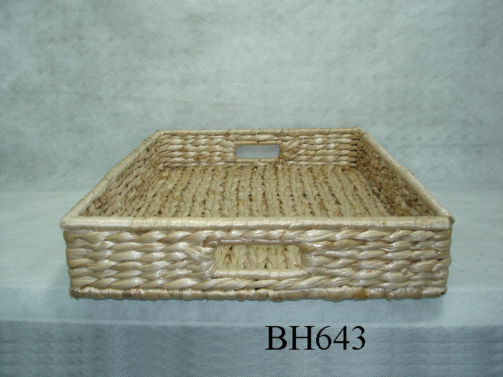 Other Material/Tray 