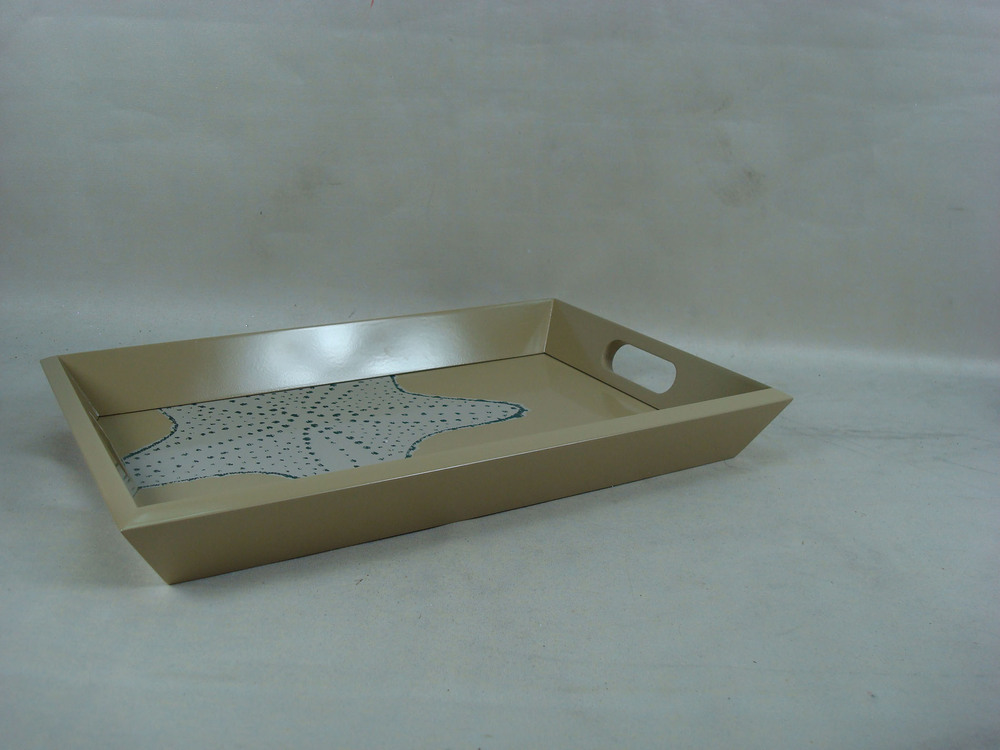 Other Material/Tray 