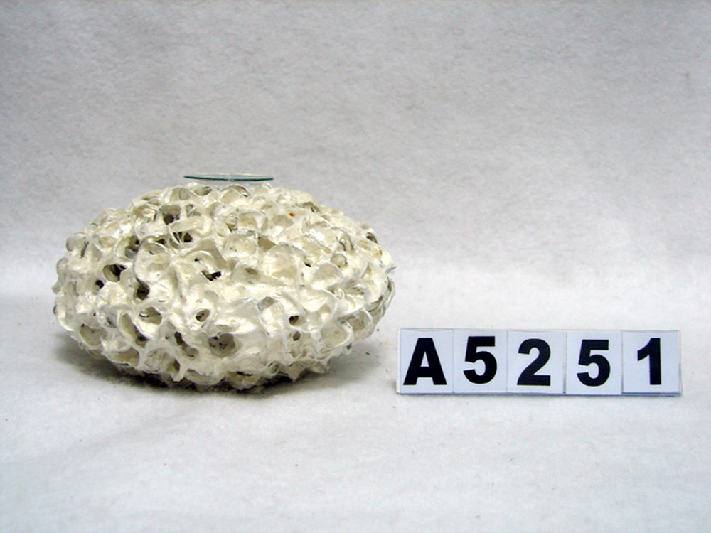 Other Material/VASE