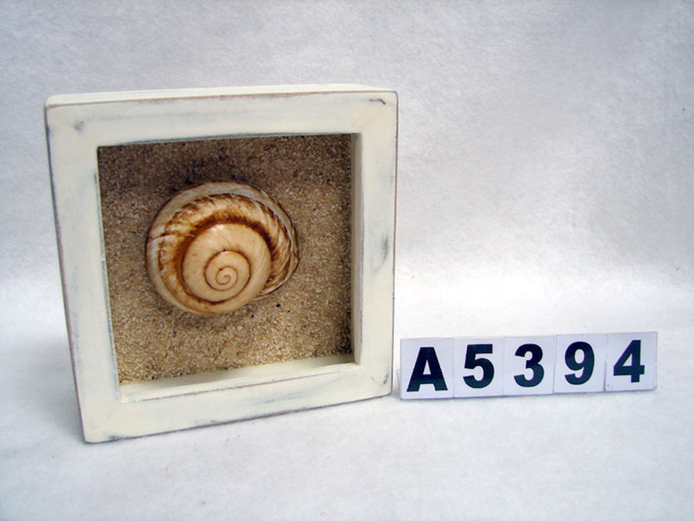 Other Material/Wall decor