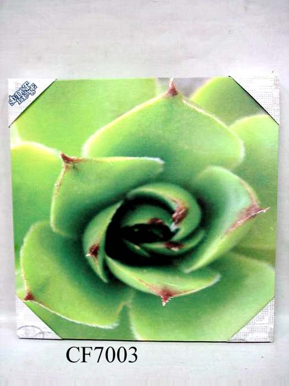 Other Material/Wall decor