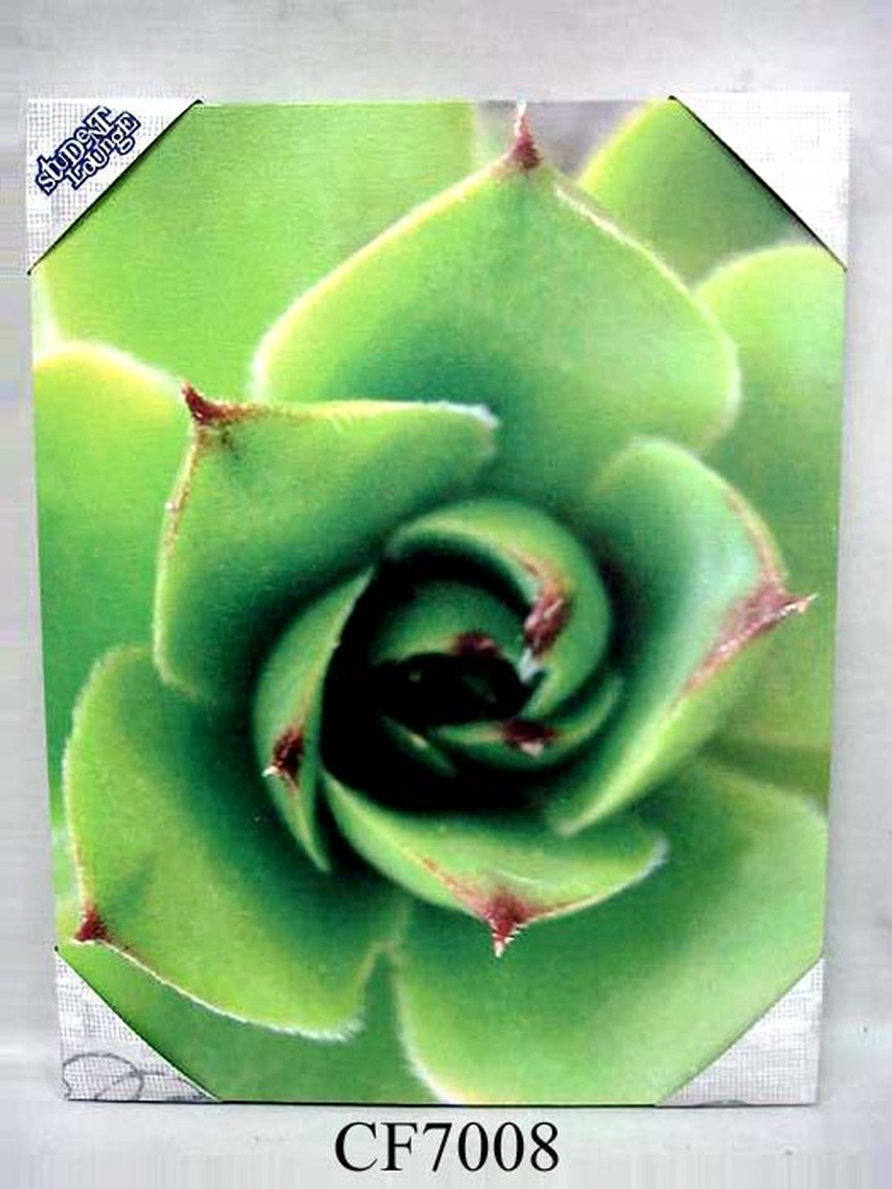 Other Material/Wall decor