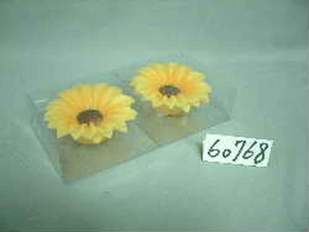Other Material/Wax candle 