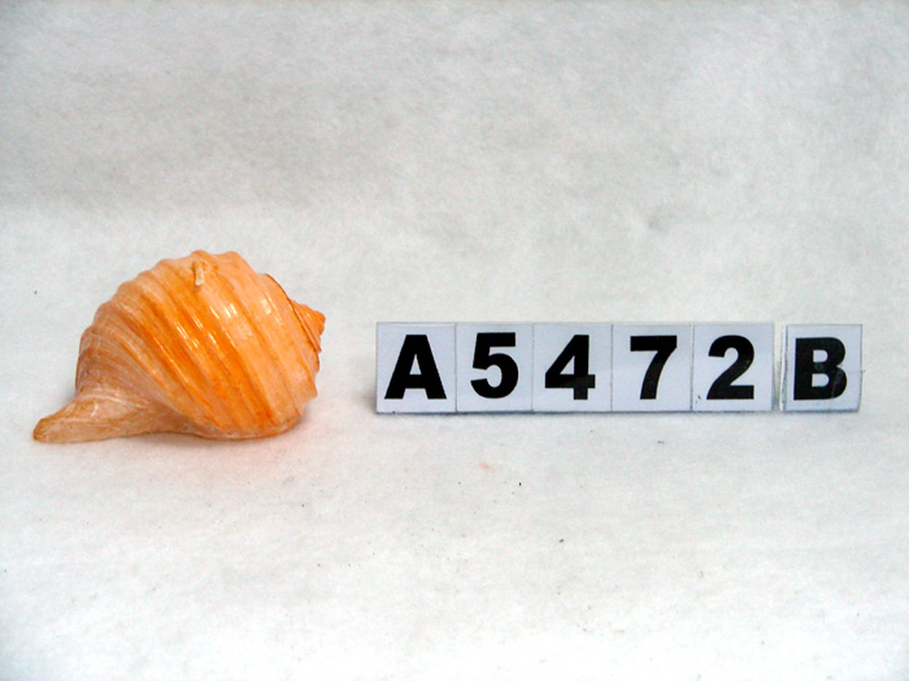Other Material/Wax candle 