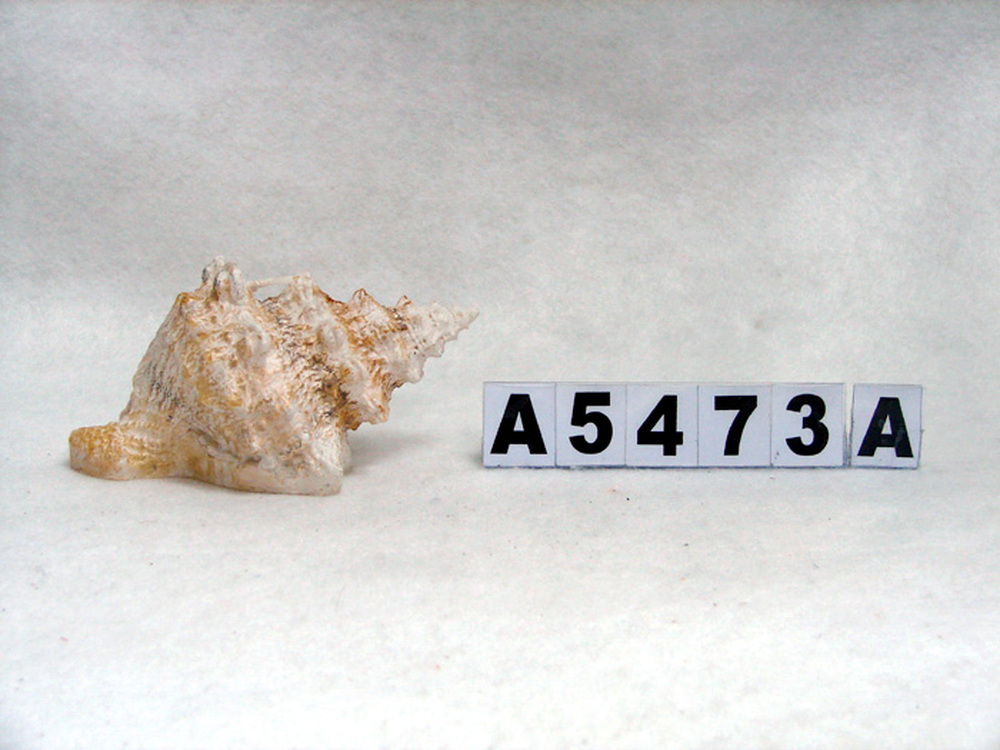 Other Material/Wax candle 