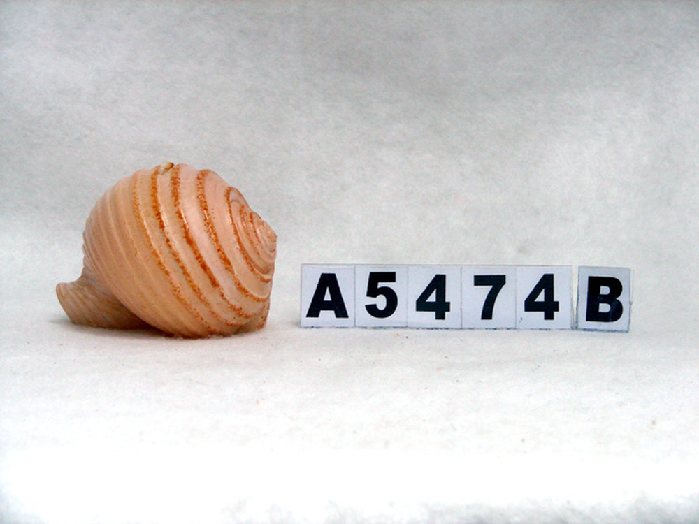 Other Material/Wax candle 
