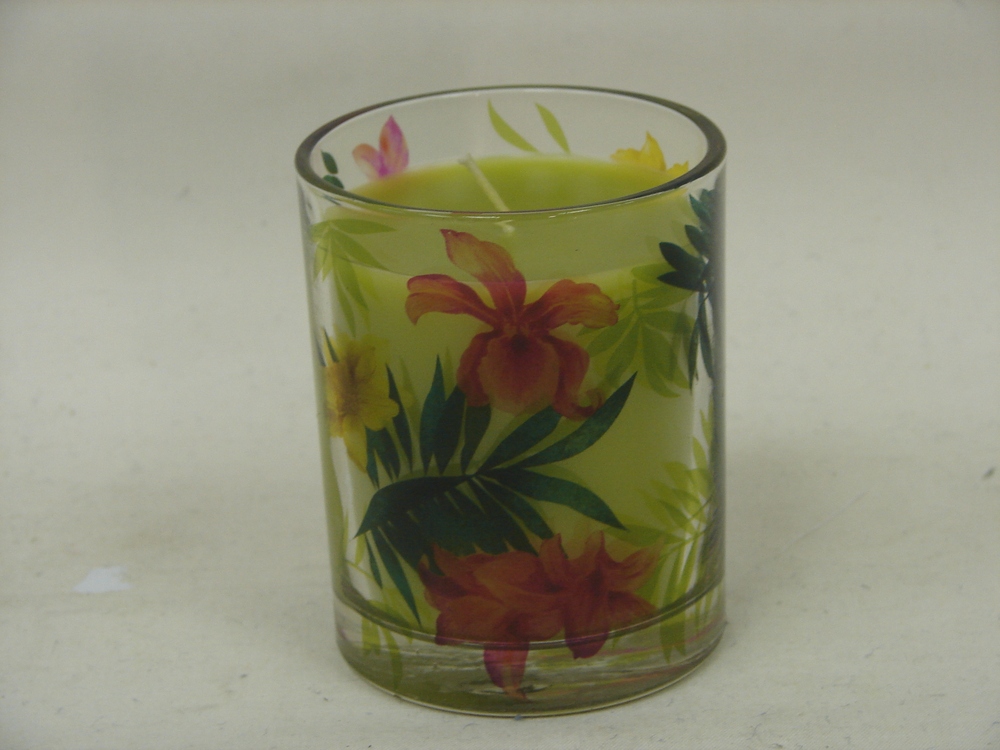 Other Material Wax cup