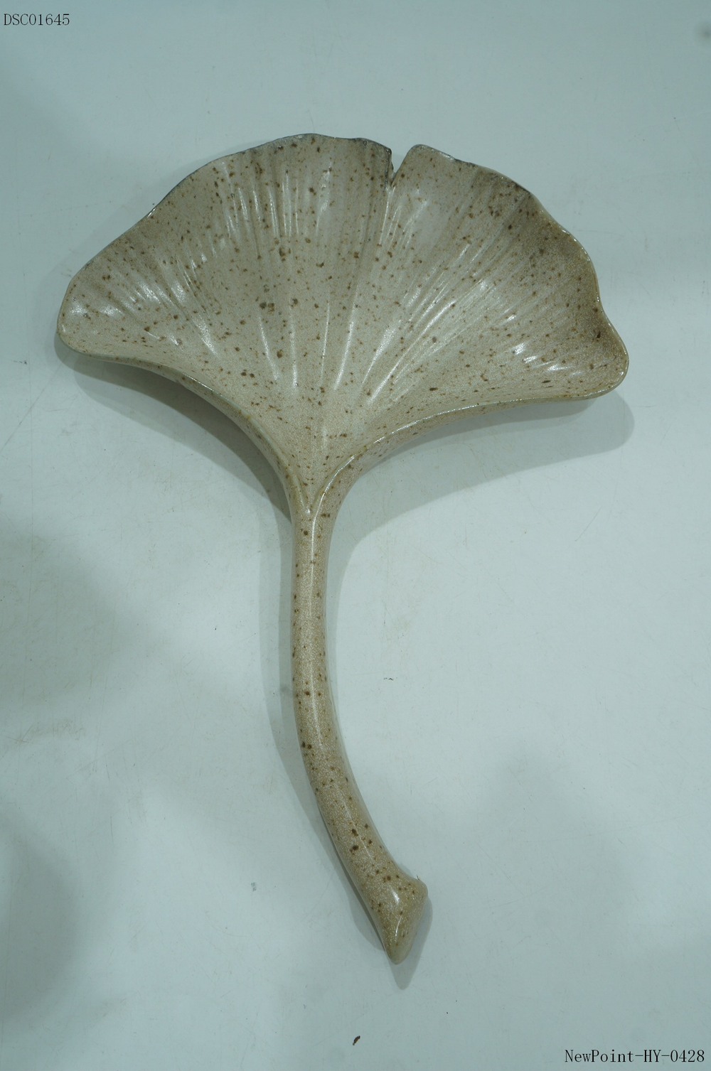 PLATE 3D