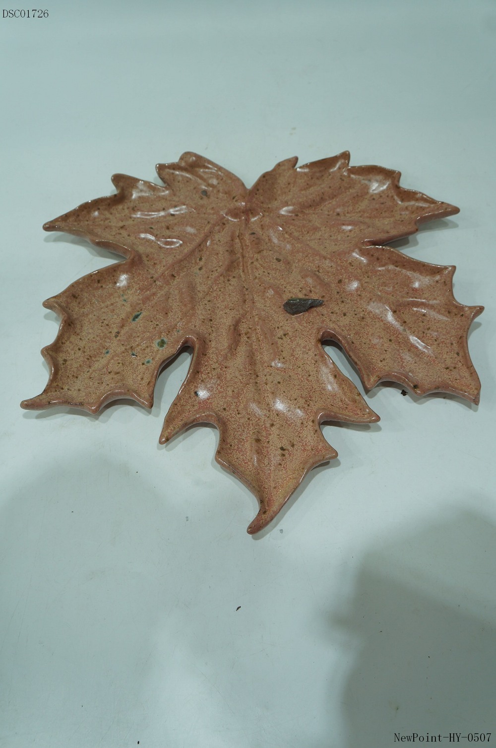 PLATE 3D
