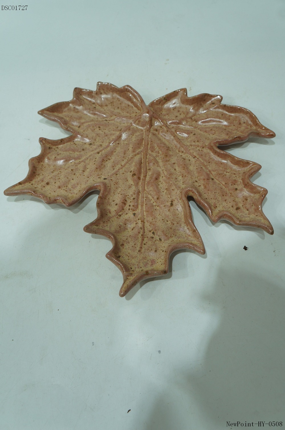 PLATE 3D