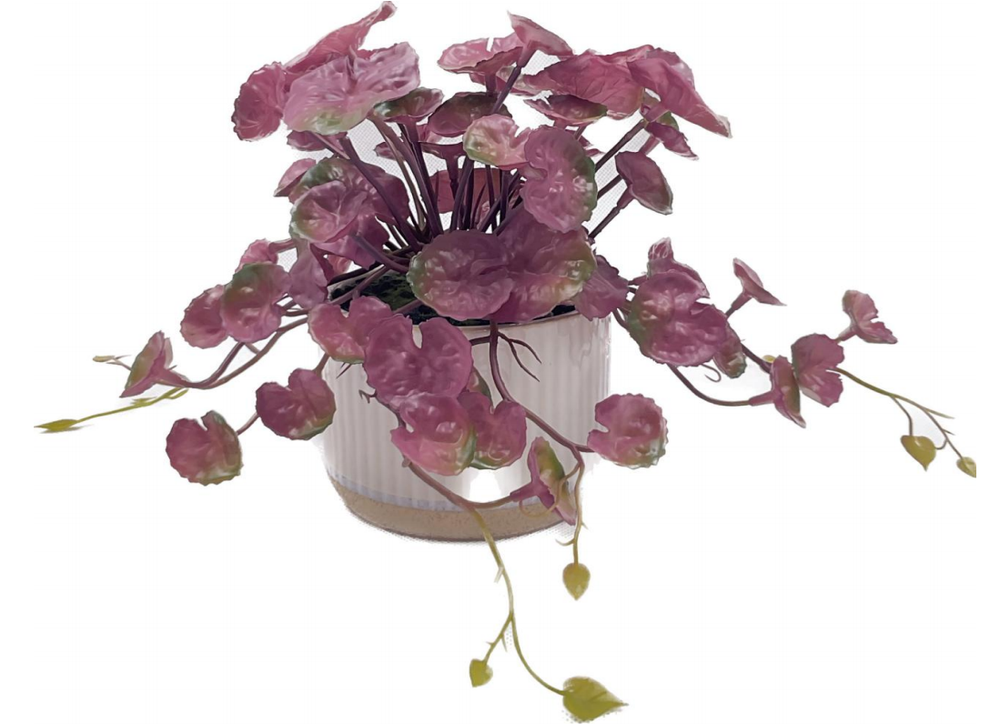 Potted plant